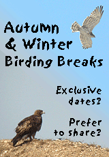 cheap birding holiday spain winter autumn banner